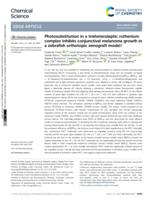 Photosubstitution in a trisheteroleptic ruthenium complex inhibits conjunctival melanoma growth in a zebrafish orthotopic xenograft model