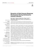 Dynamics of host immune response development during Schistosoma mansoni infection