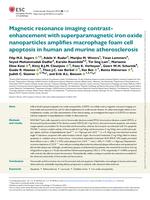 Magnetic resonance imaging contrast-enhancement with superparamagnetic iron oxide nanoparticles amplifies macrophage foam cell apoptosis in human and murine atherosclerosis