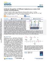 Antibody recognition of different staphylococcus aureus wall teichoic acid glycoforms