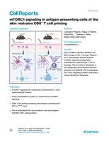 mTORC1 signaling in antigen-presenting cells of the skin restrains CD8(+) T cell priming