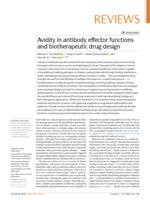 Avidity in antibody effector functions and biotherapeutic drug design