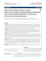 Destructive inflammatory reaction after an autologous retinal pigment epithelium and choroid transplantation