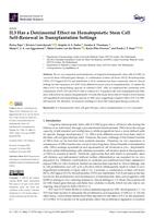 IL3 has a detrimental effect on hematopoietic stem cell self-renewal in transplantation settings