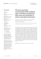 ER stress promotes mitochondrial DNA mediated type-1 interferon response in beta-cells and interleukin-8 driven neutrophil chemotaxis