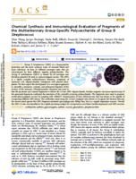 Chemical Synthesis and Immunological Evaluation of Fragments of the Multiantennary Group-Specific Polysaccharide of Group B Streptococcus.