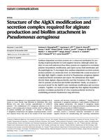 Structure of the AlgKX modification and secretion complex required for alginate production and biofilm attachment in Pseudomonas aeruginosa