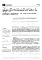 Activation of Meningeal Afferents Relevant to Trigeminal Headache Pain after Photothrombotic Stroke Lesion