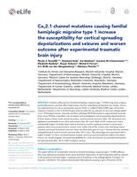 Ca(V)2.1 channel mutations causing familial hemiplegic migraine type 1 increase the susceptibility for cortical spreading depolarizations and seizures and worsen outcome after experimental traumatic brain injury