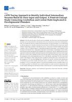 cATR tracing approach to Identify individual intermediary neurons based on their input and output