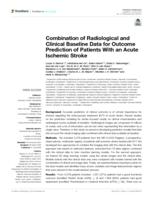 Combination of radiological and clinical baseline data for outcome prediction of patients with an acute ischemic stroke