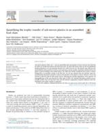 Quantifying the trophic transfer of sub-micron plastics in an assembled food chain