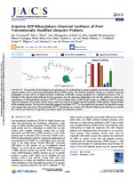 Arginine ADP-ribosylation