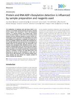 Protein and RNA ADP-ribosylation detection is influenced by sample preparation and reagents used