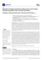 Induction of fatigue by specific anthracycline cancer drugs through disruption of the circadian pacemaker