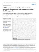 Inhibitory responses to retinohypothalamic tract stimulation in the circadian clock of the diurnal rodent Rhabdomys pumilio