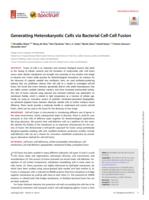 Generating heterokaryotic cells via bacterial cell-cell fusion
