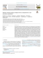 Machine learning predicts ecological risks of nanoparticles to soil microbial communities