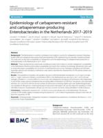 Epidemiology of carbapenem-resistant and carbapenemase-producing Enterobacterales in the Netherlands 2017-2019