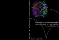 Untangling the immune landscape of colorectal cancer by in situ multiplex immunophenotyping