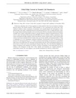 Chiral edge current in nematic cell monolayers