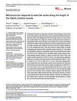 Microvascular response to exercise varies along the length of the tibialis anterior muscle