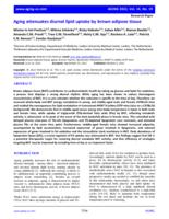 Aging attenuates diurnal lipid uptake by brown adipose tissue