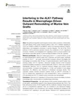 Interfering in the ALK1 pathway results in macrophage-driven outward remodeling of murine vein grafts