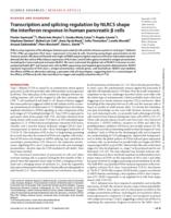 Transcription and splicing regulation by NLRC5 shape the interferon response in human pancreatic 0 cells