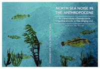 North Sea noise in the Anthropocene