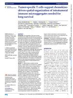 Tumor-specific T cells support chemokine-driven spatial organization of intratumoral immune microaggregates needed for long survival