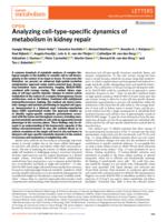 Analyzing cell-type-specific dynamics of metabolism in kidney repair