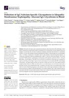 Definition of IgG subclass-specific glycopatterns in idiopathic membranous nephropathy: