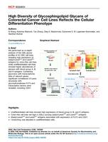 High diversity of glycosphingolipid glycans of colorectal cancer cell lines reflects the cellular differentiation phenotype