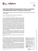 Clostridioides difficile phosphoproteomics shows an expansion of phosphorylated proteins in stationary growth phase