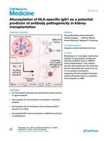 Afucosylation of HLA-specific IgG1 as a potential predictor of antibody pathogenicity in kidney transplantation