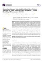 Human papillary and reticular fibroblasts show distinct functions on tumor behavior in 3D-organotypic cultures mimicking melanoma and HNSCC