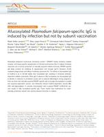 Afucosylated Plasmodium falciparum-specific IgG is induced by infection but not by subunit vaccination