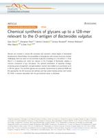 Chemical synthesis of glycans up to a 128-mer relevant to the O-antigen of Bacteroides vulgatus