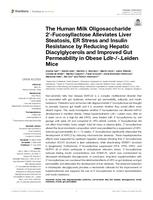 The human milk oligosaccharide 2'-fucosyllactose alleviates liver steatosis, ER stress, and insulin resistance by reducing hepatic diacylglycerols and improving gut permeability in obese Ldlr-/-Leiden mice