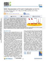 RAIRS characterization of CO and O coadsorption on Cu(111)