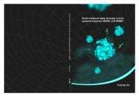 Small-molecule tools to study human cysteine enzymes SENPs and PARK7