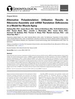 Alternative polyadenylation utilization results in ribosome assembly and mRNA translation deficiencies in a model for muscle aging