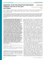 Application of the International IgA Nephropathy Prediction Tool one or two years post-biopsy