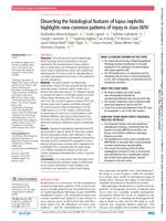 Dissecting the histological features of lupus nephritis highlights new common patterns of injury in class III/IV