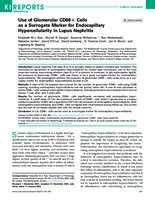 Use of glomerular CD68+ cells as a surrogate marker for endocapillary hypercellularity in lupus nephritis