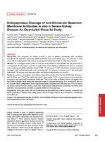 Endopeptidase cleavage of anti-glomerular basement membrane antibodies in vivo in severe kidney disease