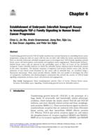 Establishment of embryonic zebrafish xenograft assays to investigate TGF-β family signaling in human breast cancer progression