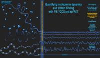 Quantifying nucleosome dynamics and protein binding with PIE-FCCS and spFRET