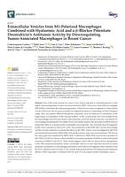 Extracellular vesicles from M1-polarized macrophages combined with hyaluronic acid and a beta-Blocker potentiate doxorubicin's antitumor activity by downregulating tumor-associated macrophages in breast cancer